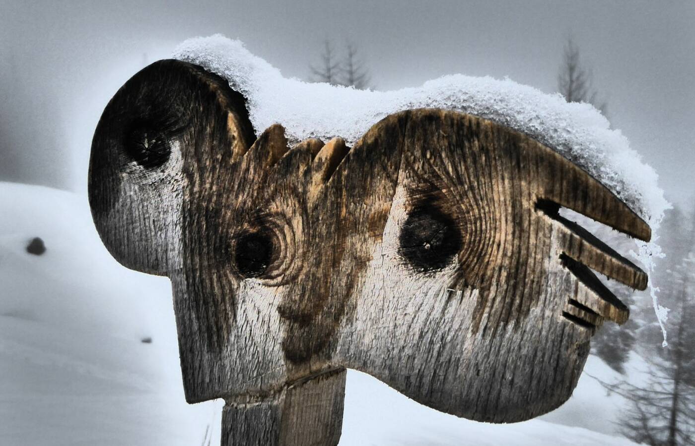 Skitourenwoche im Sarntal
