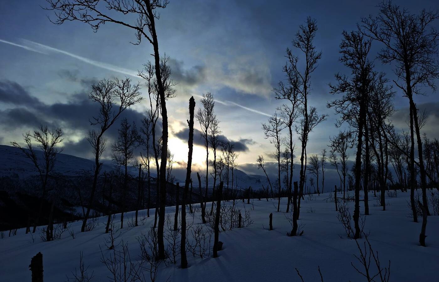 Skitourenreise Lavangen - Norwegen