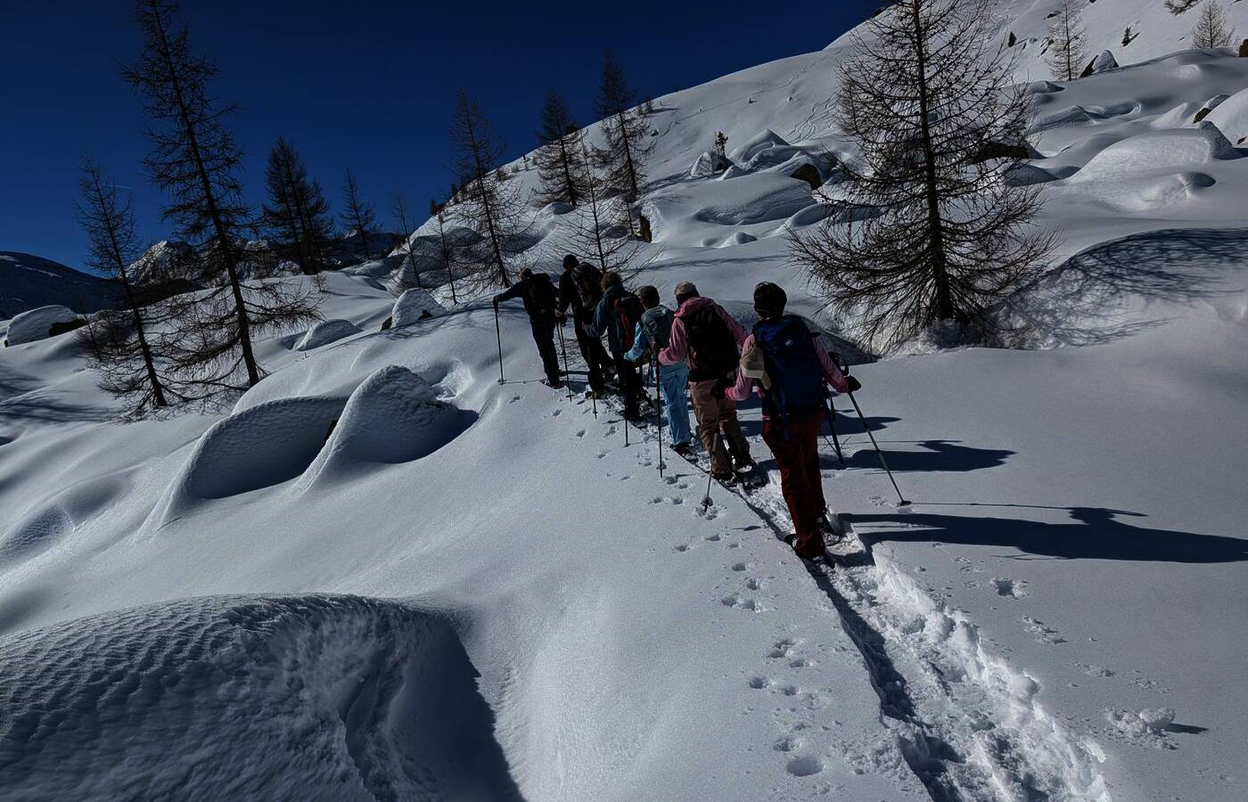 Snowshoe Week in the Ahrntal Valley