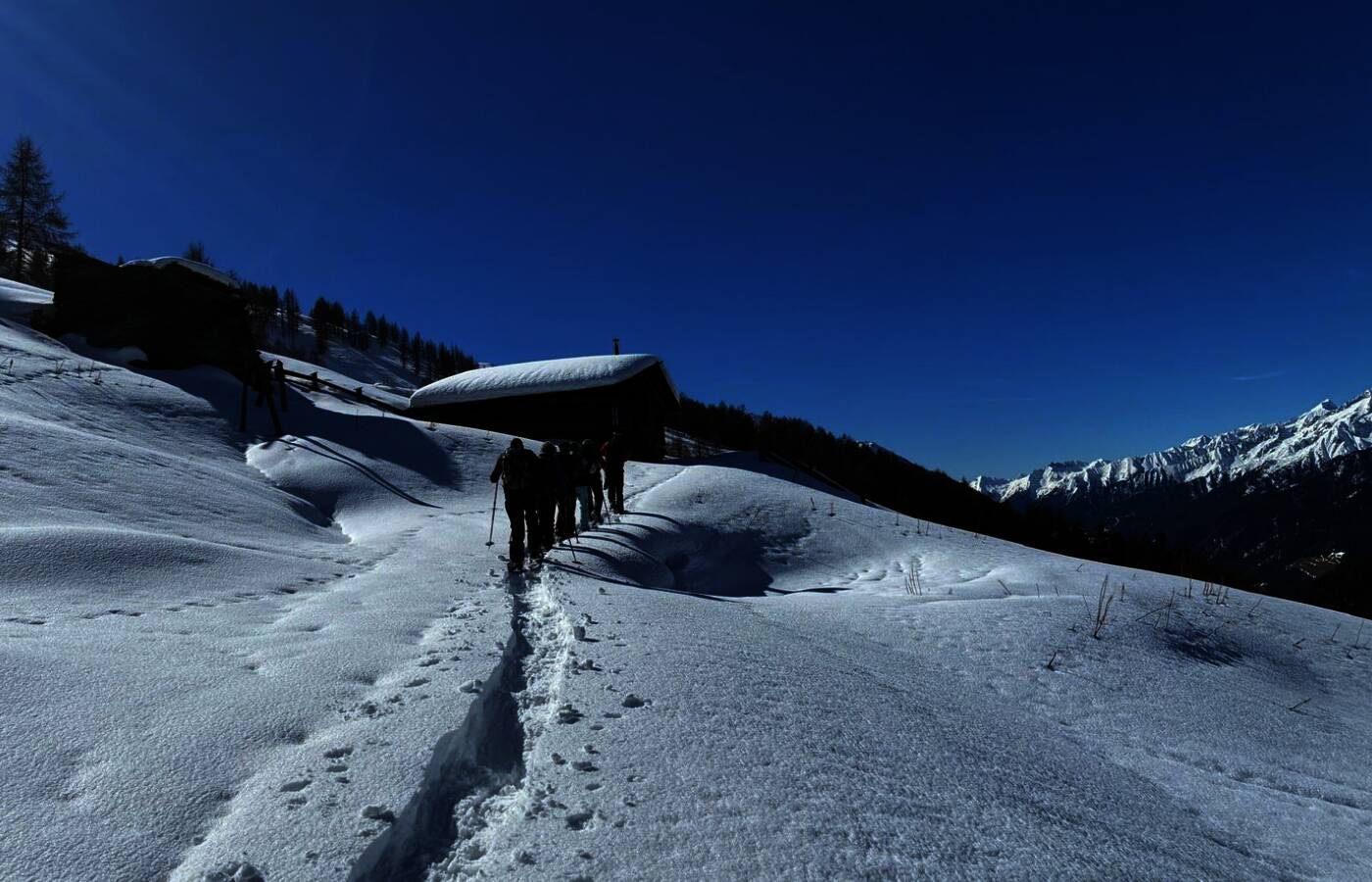 Snowshoe Week in the Ahrntal Valley