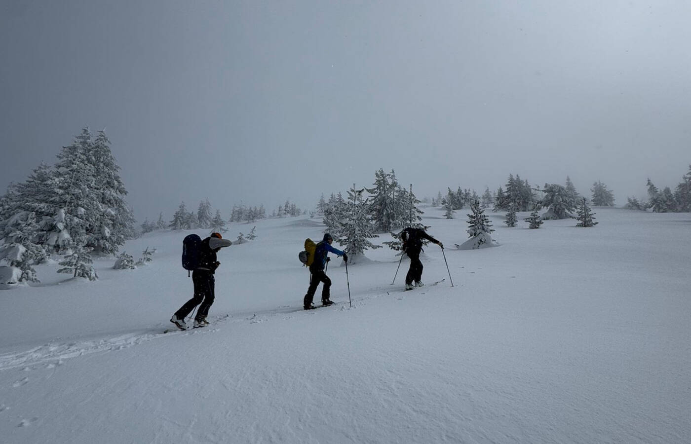 Ski Mountaineering Trip Montenegro