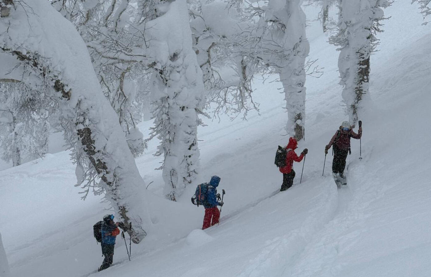 Skitouren-Freeridereise Japan