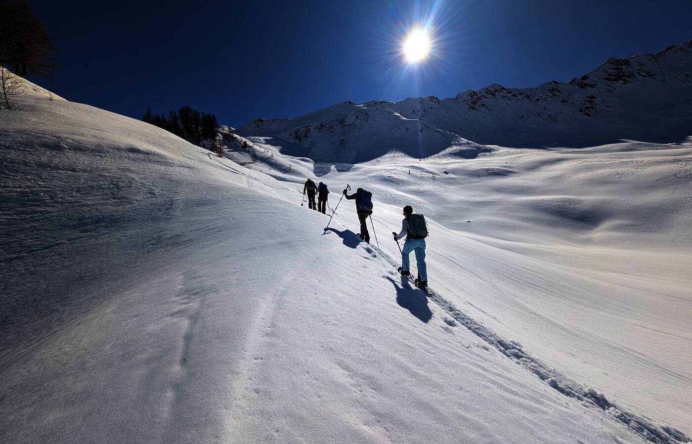 Snowshoe Week in the Ahrntal Valley