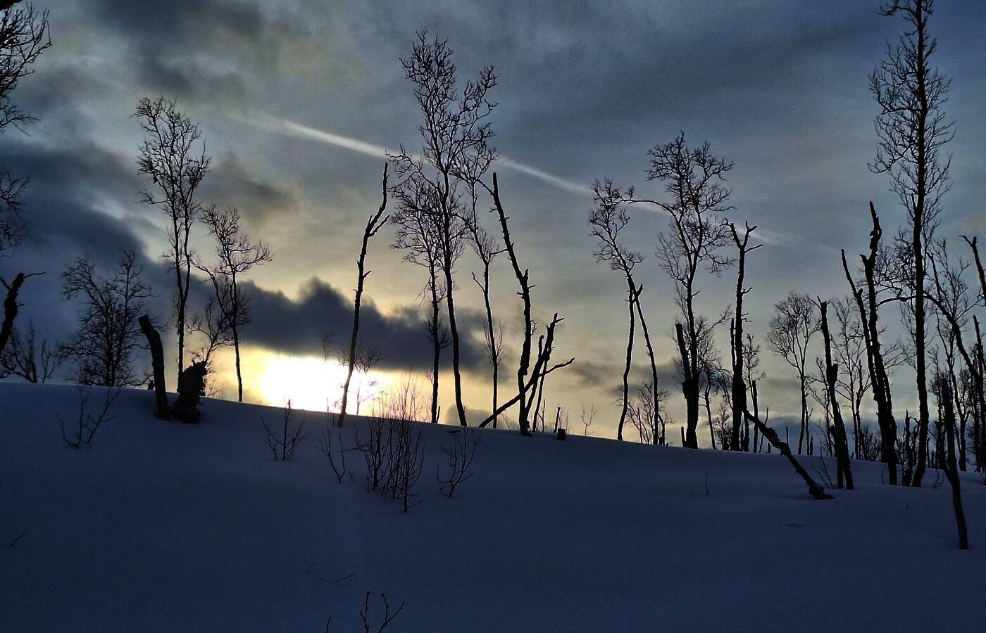 Skitourenreise Lavangen - Norwegen