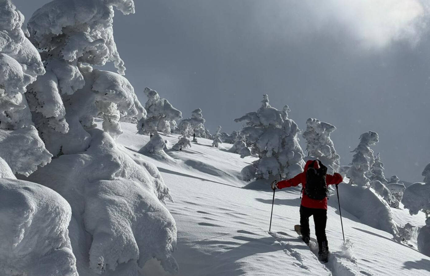Skitouren-Freeridereise Japan