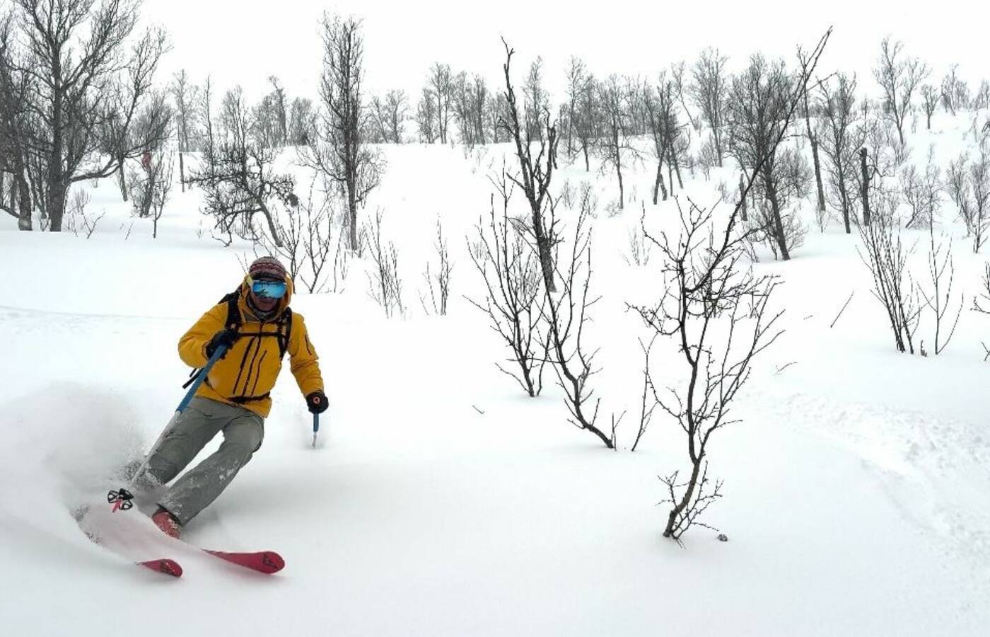 Skitourenreise Senja - Norwegen