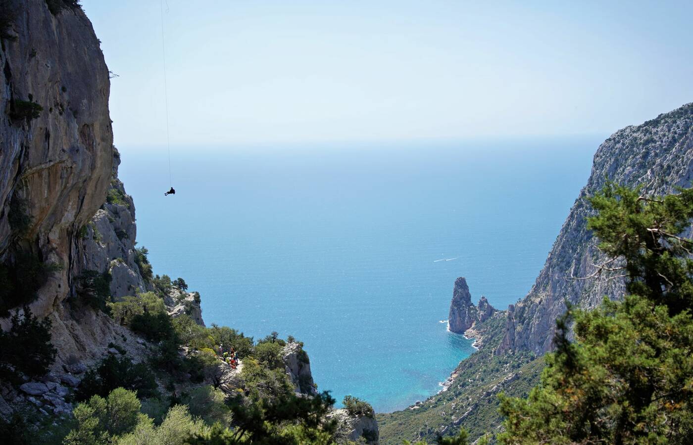 Selvaggio Blu Plus