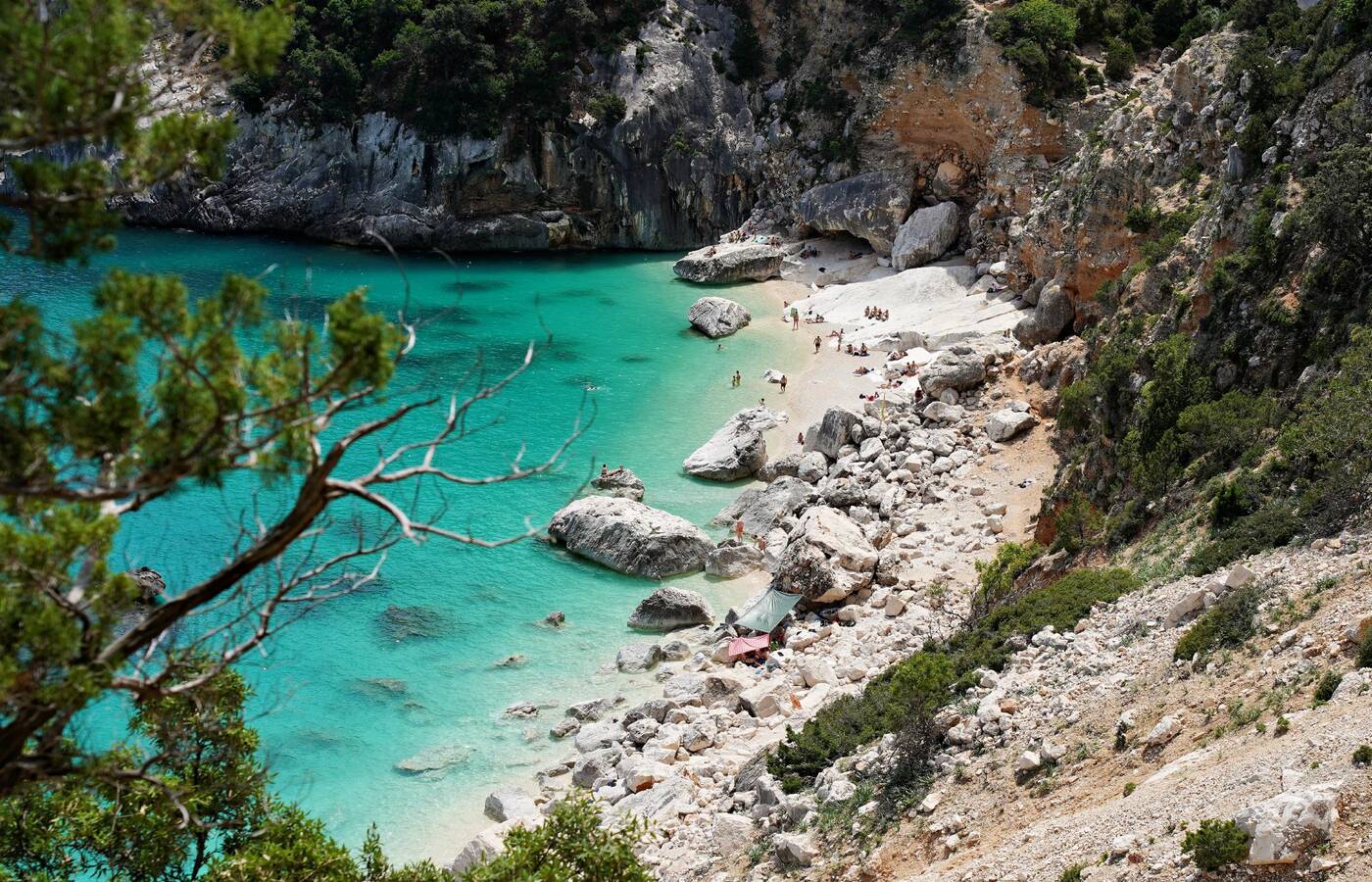 Selvaggio Blu Plus