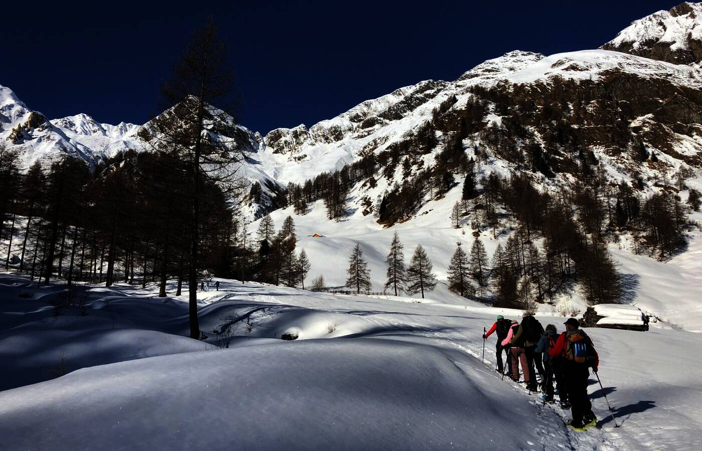 Snowshoe Week in the Ahrntal Valley