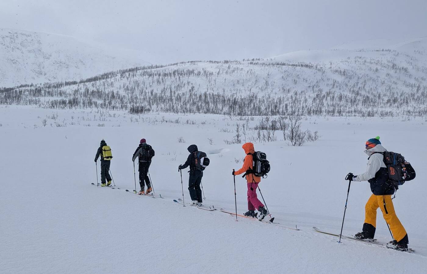 Skitourenreise Senja - Norwegen