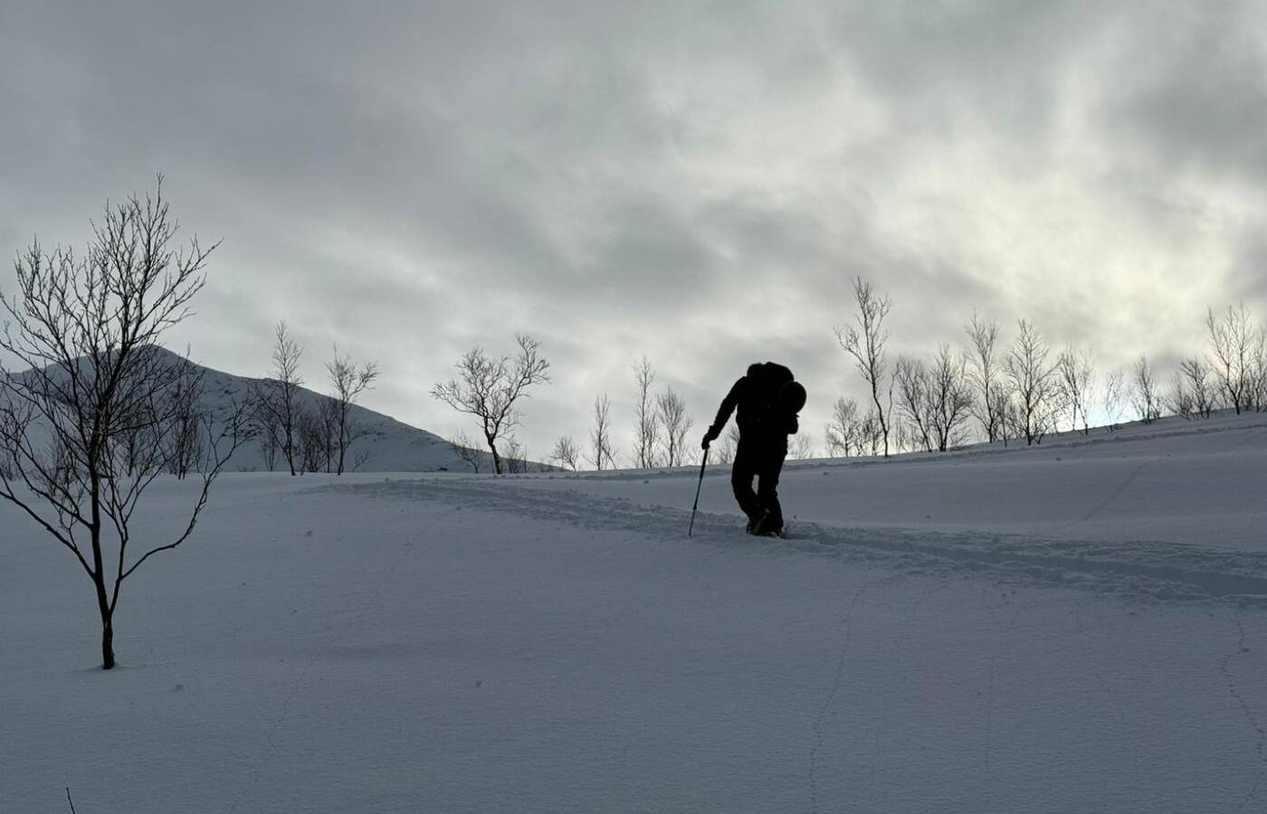 Skitourenreise Senja - Norwegen