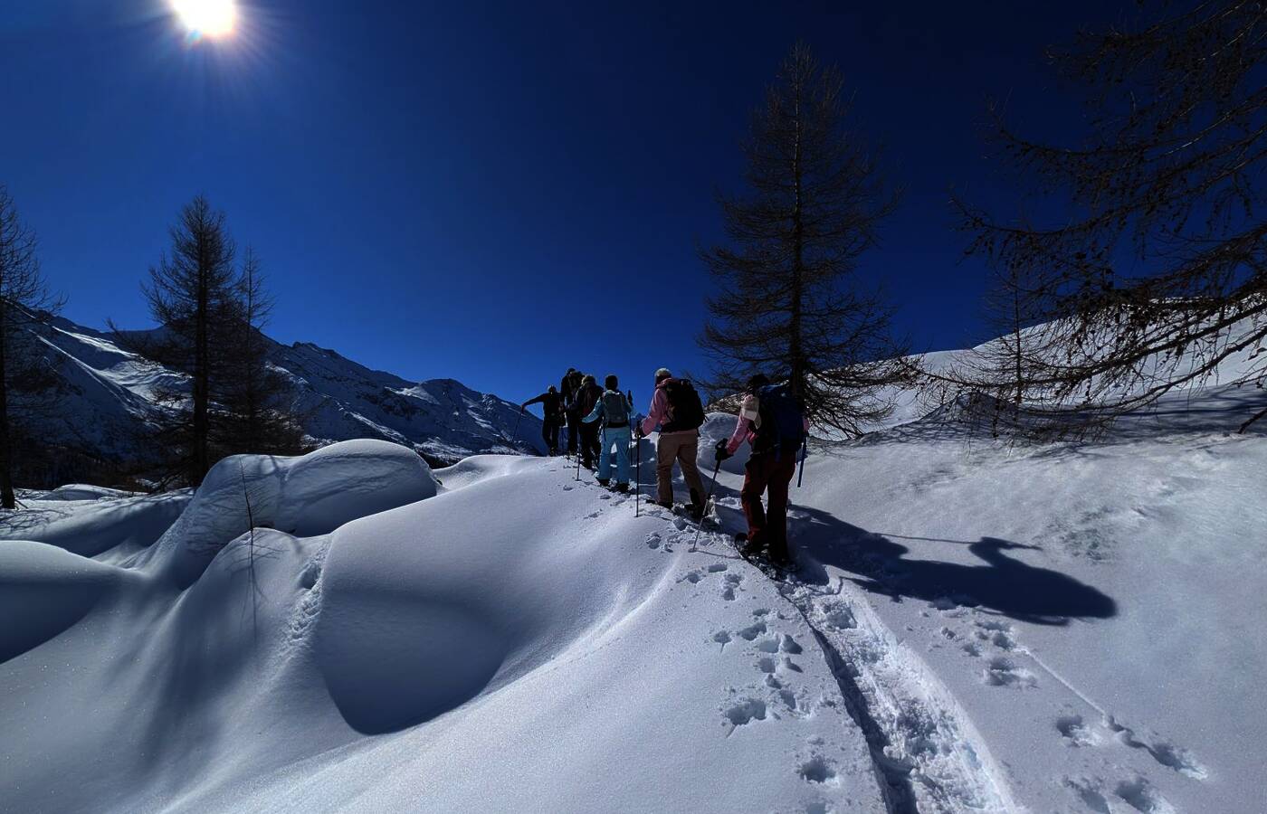 Snowshoe Week in the Ahrntal Valley