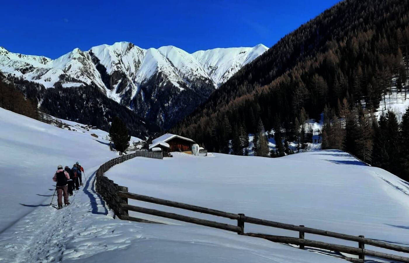 Snowshoe Week in the Ahrntal Valley