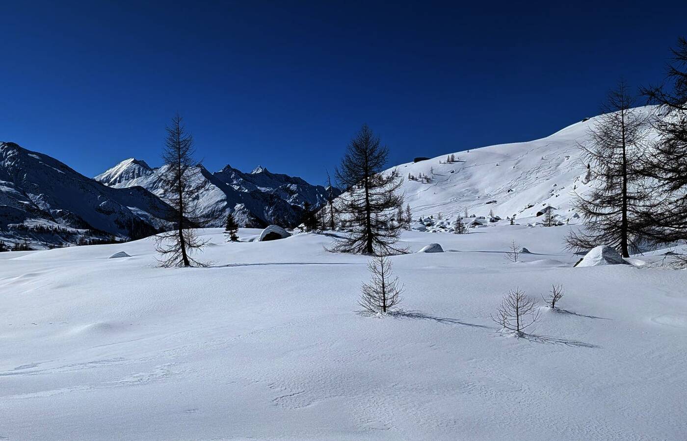 Snowshoe Week in the Ahrntal Valley